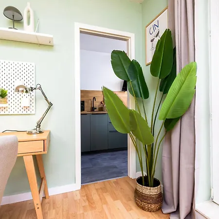 Staytime - Leaf * Drezno